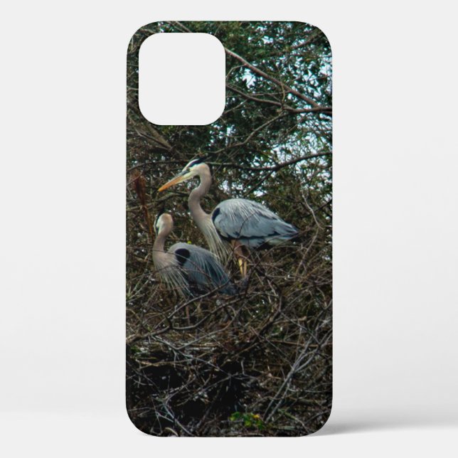 Blue Heron Birds Pretty Case-Mate iPhone Case (Back)
