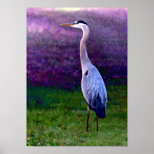 Blue Heron Collection Poster