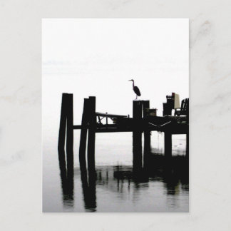 Blue Heron on a Grey Day Postcard