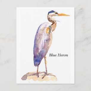 Blue Heron postcard