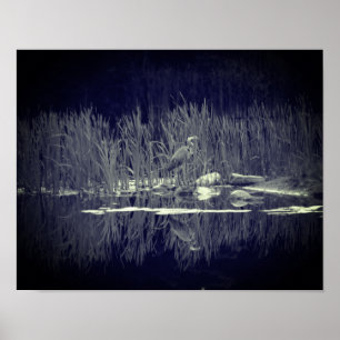 Blue Heron Reflections Bird Black And White Poster