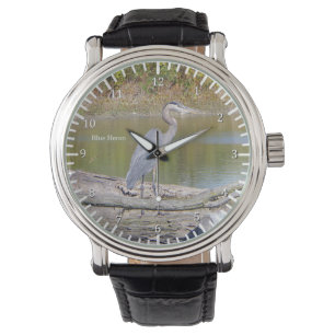 Blue Heron watch