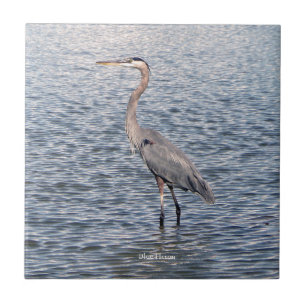 Blue Heron water tile