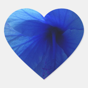 Blue Hibiscus Flower Heart Sticker