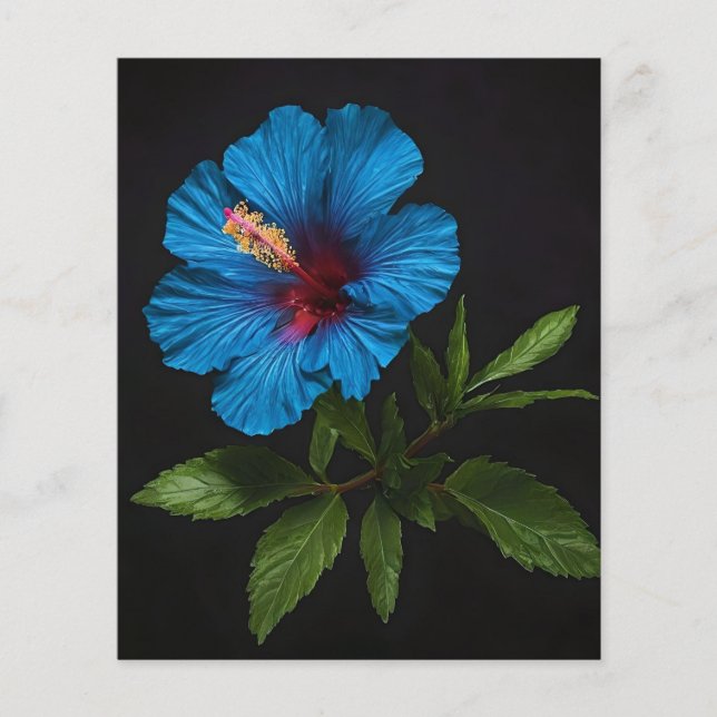 Blue Hibiscus Flower On Black, Flyer (Front)