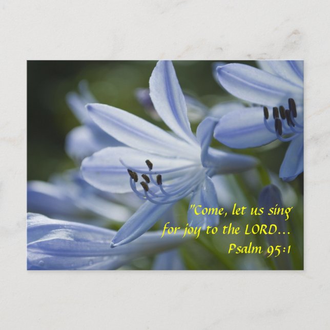 Blue Hosta Trumpets Postcard (Front)