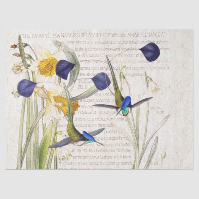 Blue Hummingbird Bird Daffodil Flower Tissue Paper (Front)