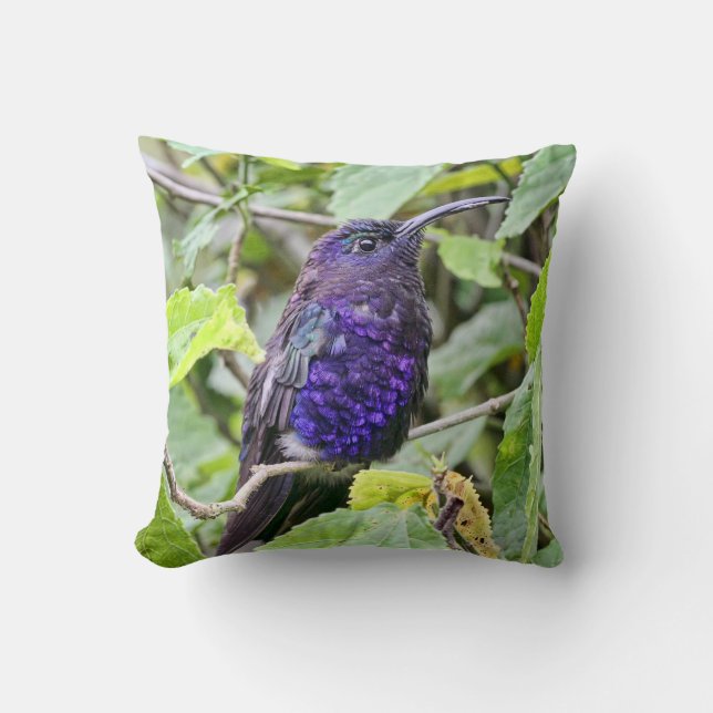 Blue Hummingbird Photo Cushion (Front)