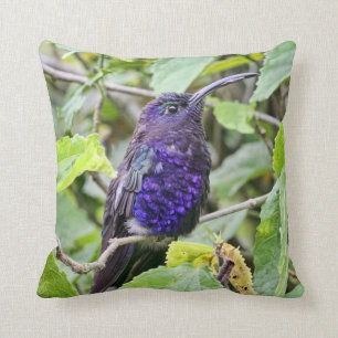 Blue Hummingbird Photo Cushion