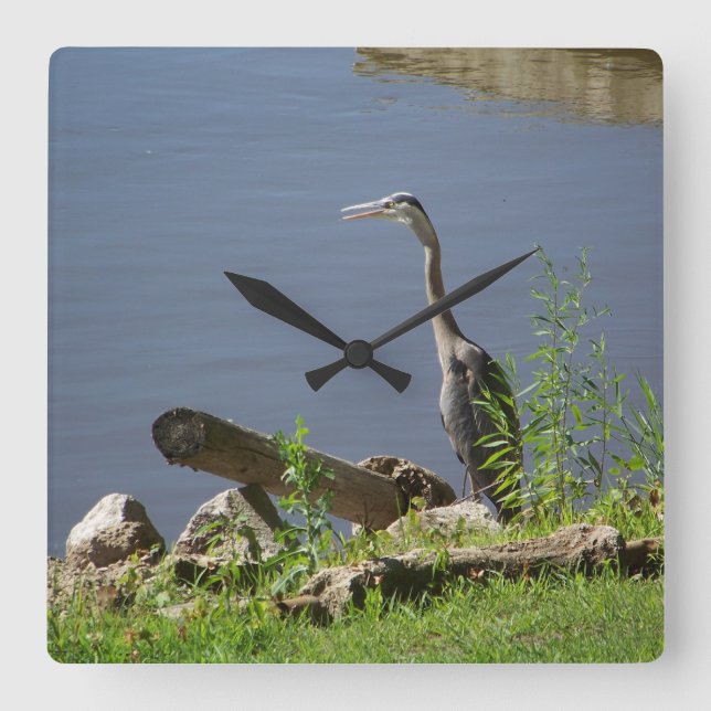 Blue Huron on Shore Square Wall Clock (Front)