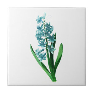 Blue Hyacinth by Pierre Joseph Redoute Tile