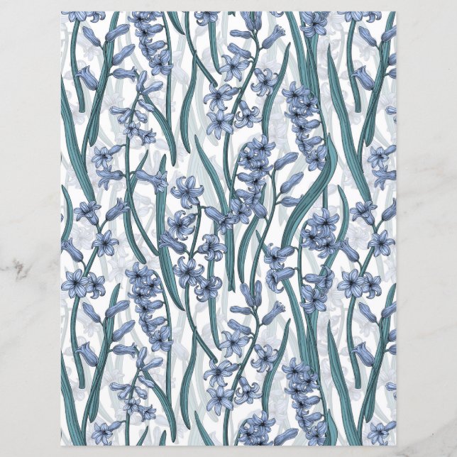 Blue Hyacinth flowers on white (Front)