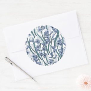 Blue Hyacinth flowers on white Classic Round Sticker