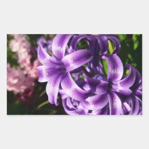 Blue Hyacinth I Spring Floral Rectangular Sticker