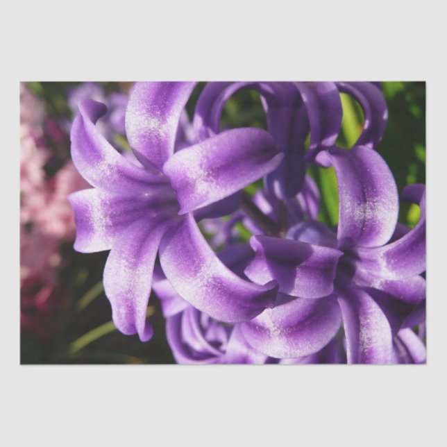 Blue Hyacinth I Spring Floral Tissue Paper (Front)