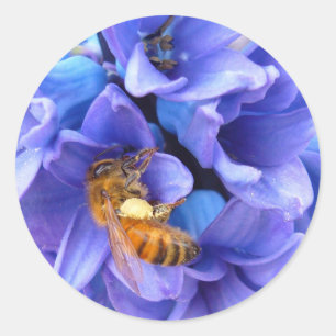 BLUE HYACINTH ~   Stickers