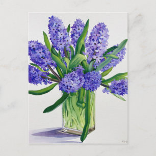 Blue Hyacinths Postcard