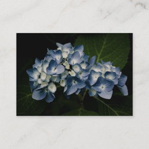 Blue Hydrangea 8514 Mini Print Business Card
