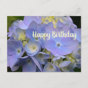 Blue Hydrangea Birthday Scripture Blank Postcard
