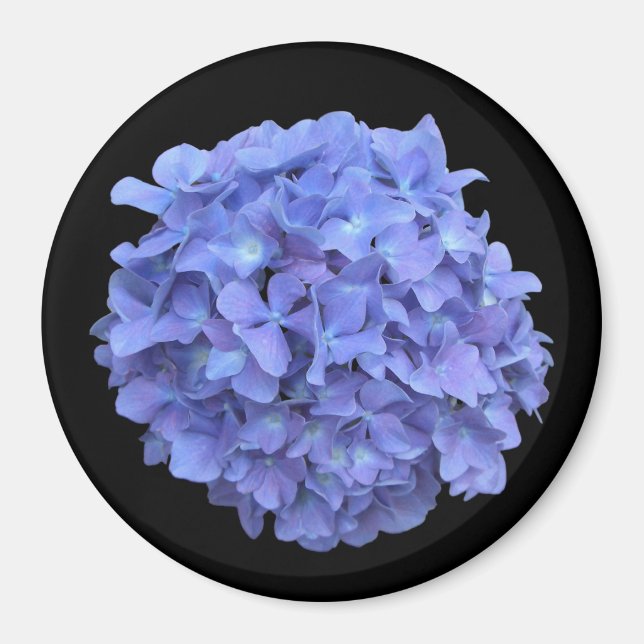 Blue Hydrangea Bloom Magnet (Front)