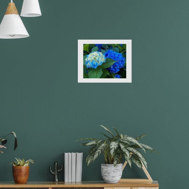 Blue Hydrangea Blooms Floral Poster (Living Room 1)