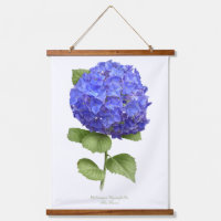 Blue Hydrangea "Blue Heaven" Floral Botanical Art
