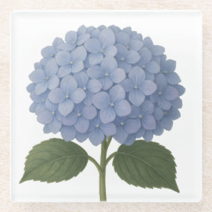Blue Hydrangea Botanical Illustration Design Glass Coaster
