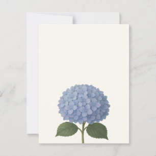 Blue Hydrangea Botanical Illustration Design Postcard