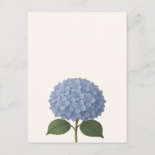 Blue Hydrangea Botanical Illustration Design Postcard
