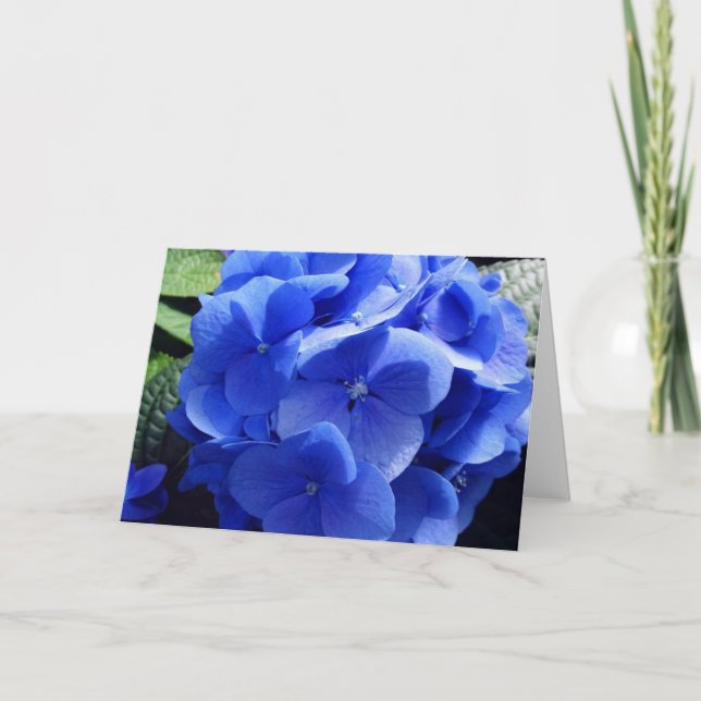 Blue Hydrangea Card (Front)