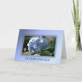 Blue Hydrangea Card