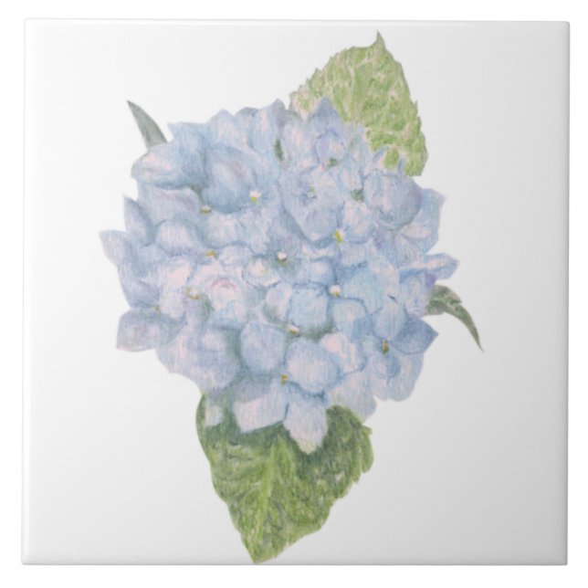 Blue Hydrangea Ceramic Tile (Front)