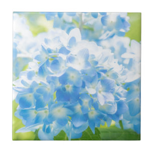 Blue Hydrangea Ceramic Tile