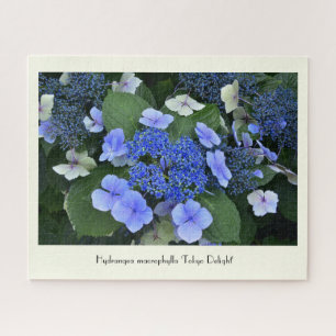Blue Hydrangea Collectable Flower Jigsaw Puzzle