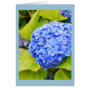 Blue hydrangea floral card