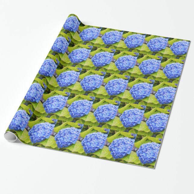 Blue hydrangea floral wrapping paper (Unrolled)