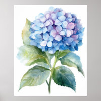 Blue Hydrangea Flower Art Print Poster