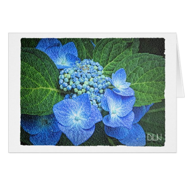 Blue Hydrangea Flower/Floral /Watercolor Look (Front Horizontal)