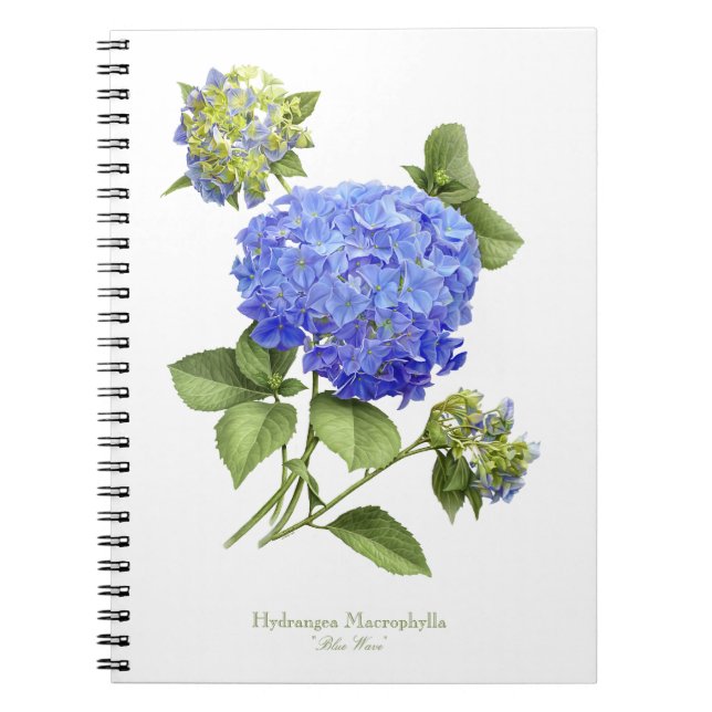Blue Hydrangea Flower Notebook (Front)