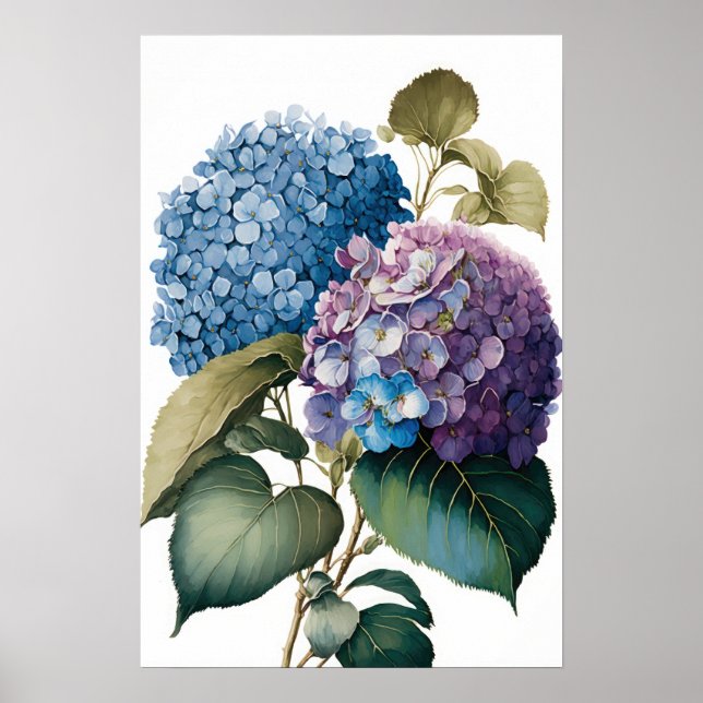 Blue Hydrangea Flowers Art Print Poster (Front)
