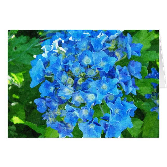 Blue hydrangea flowers. Floral photography. (Front Horizontal)