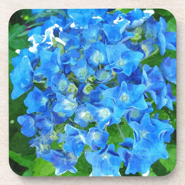 Blue hydrangea flowers. Floral photography. Coaster (Front)