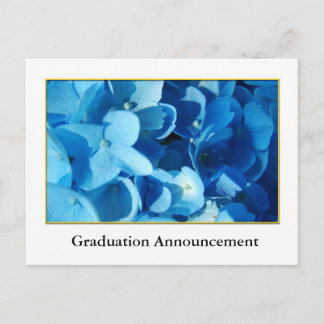 Blue hydrangea flowers graduation announcement postcard