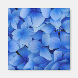 Blue Hydrangea Flowers Magnet