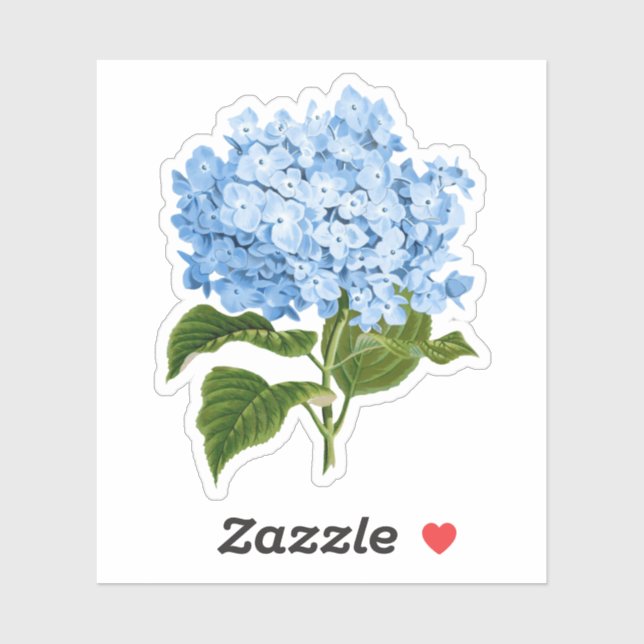 Blue Hydrangea Grandmillennial  (Sheet)