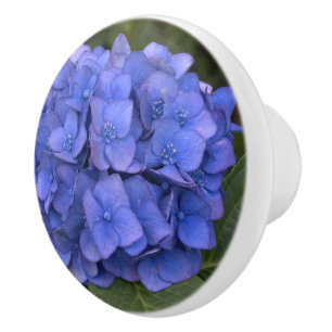 Blue Hydrangea Laurel Floral Ceramic Knob