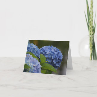 Blue Hydrangea Note Card