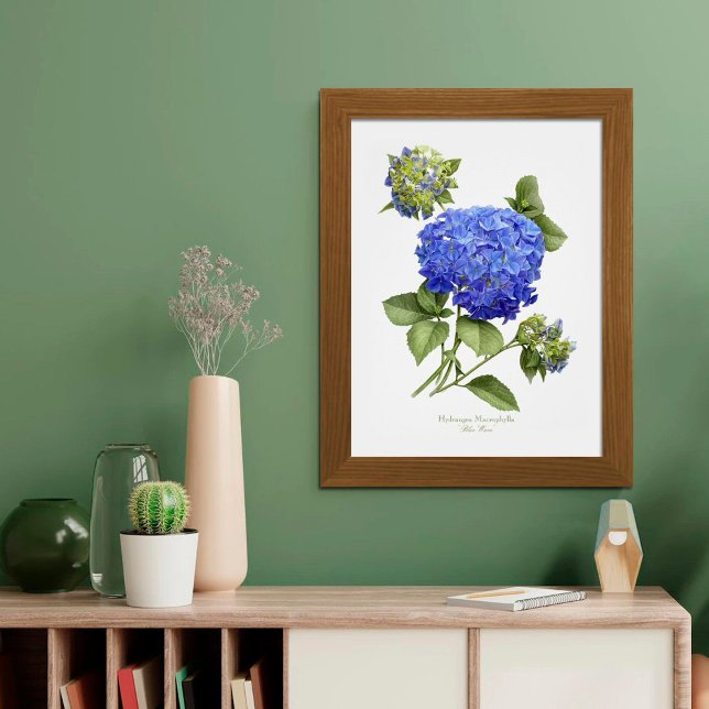 Blue Hydrangea Original Art Print (Creator Uploaded)