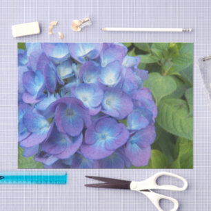 Blue Hydrangea Petals Floral Tissue Paper