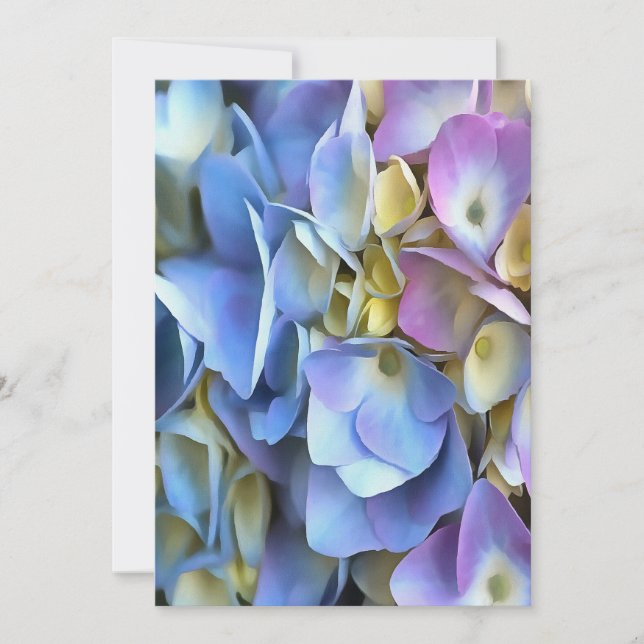 Blue Hydrangea Shrub Artistic Bossom (Front)